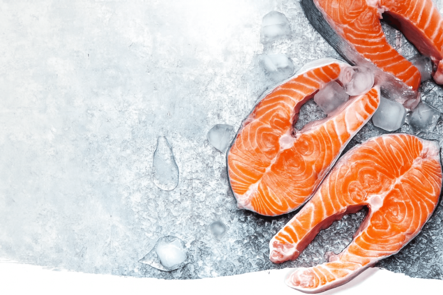 Fresh salmon