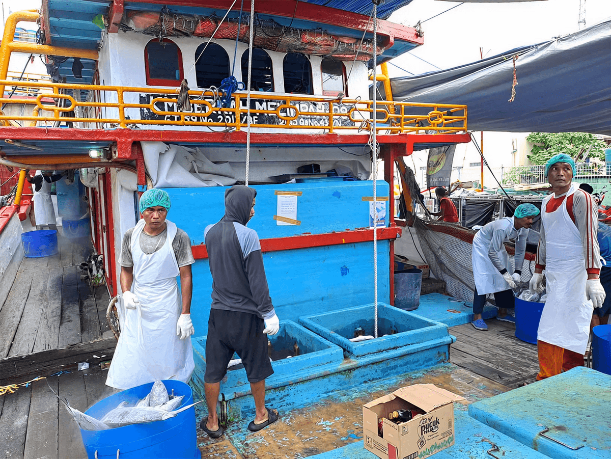 Fish sorting on deck